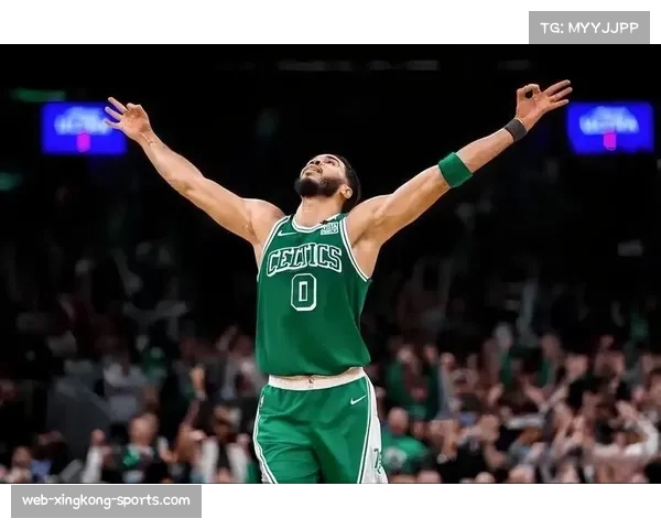 武切维奇凯尔特人中远距离投射 空间型五号位适配双探花体系